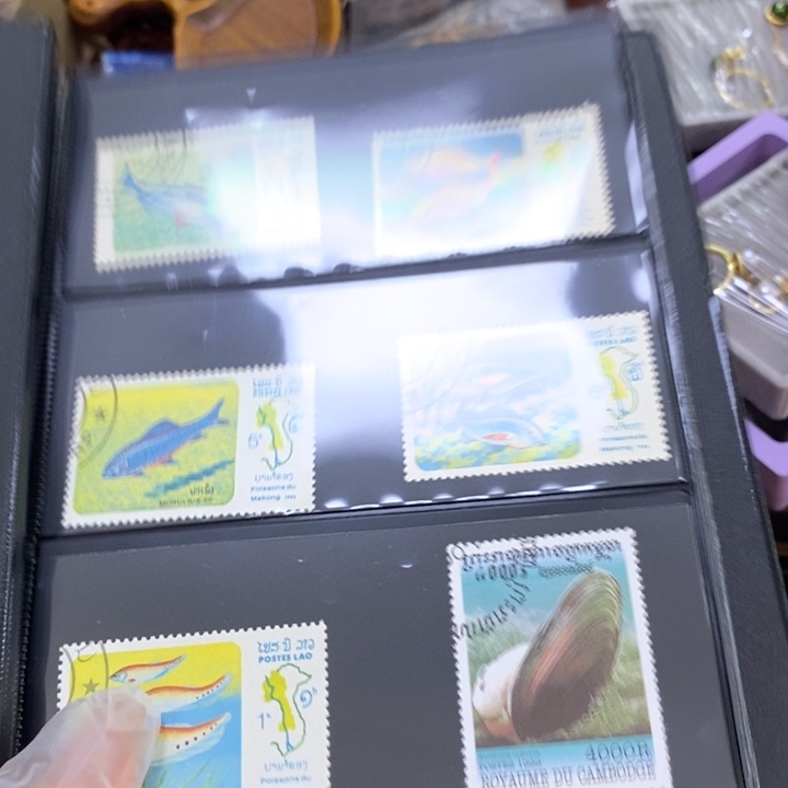 瓷片哦哦哦哦哦哦哦哦哦