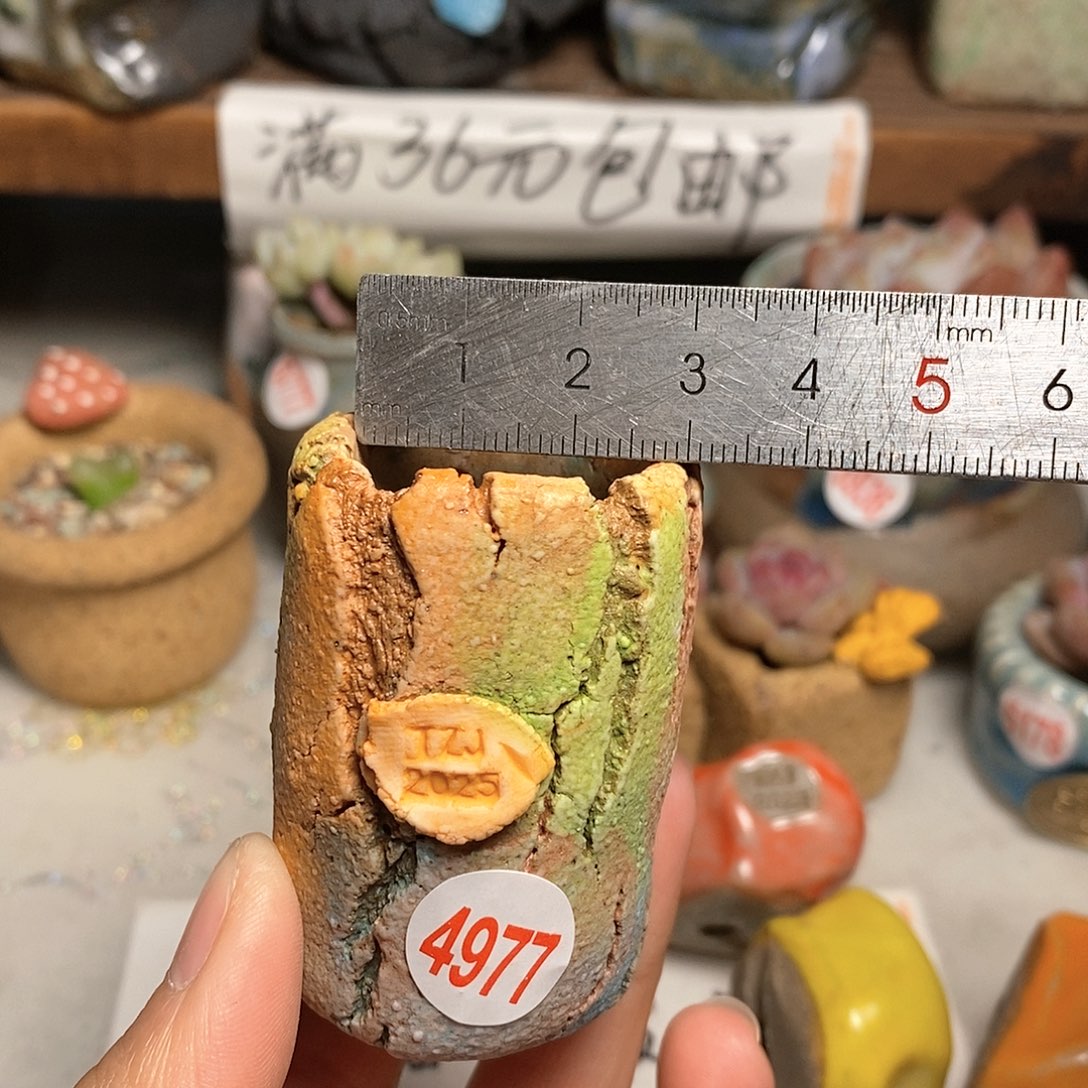 红陶拍5送一个小