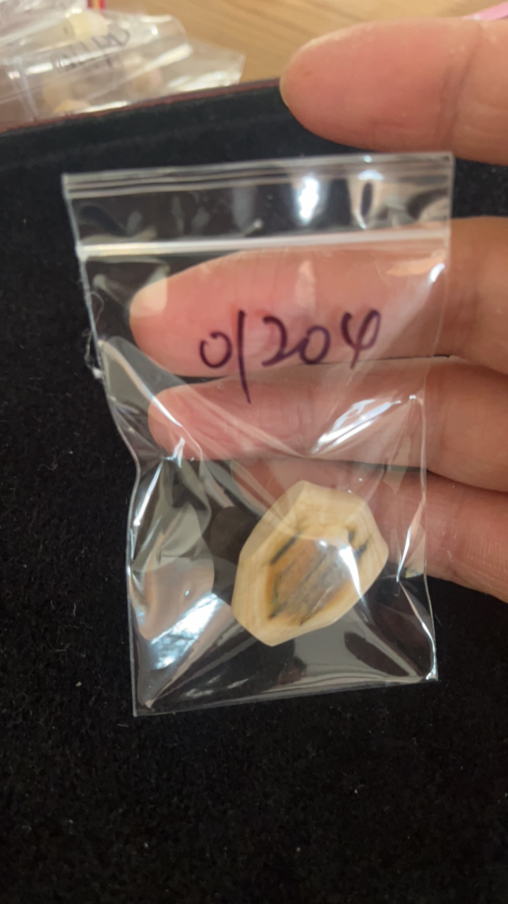 01204猛犸牙鲨鱼背配饰