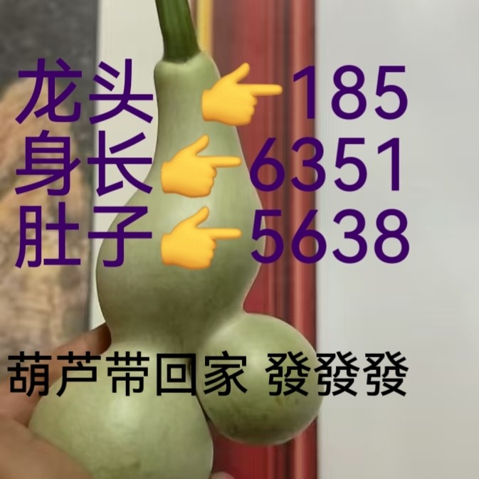 连体双胞胎怀抱子 青皮葫芦拍下不退不换