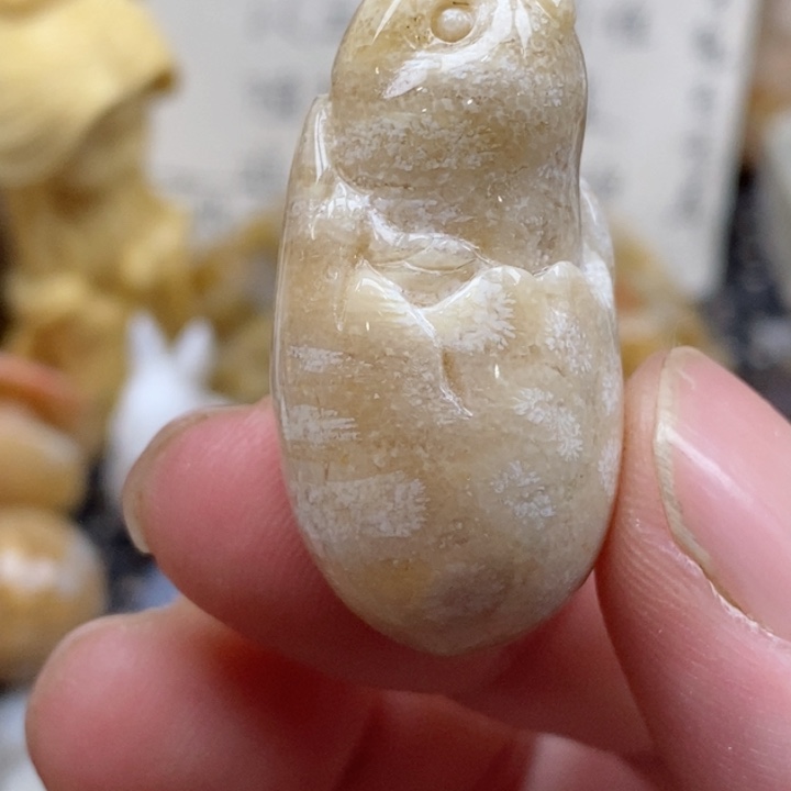 颈饰未镶嵌硅化珊瑚（珊瑚玉）小