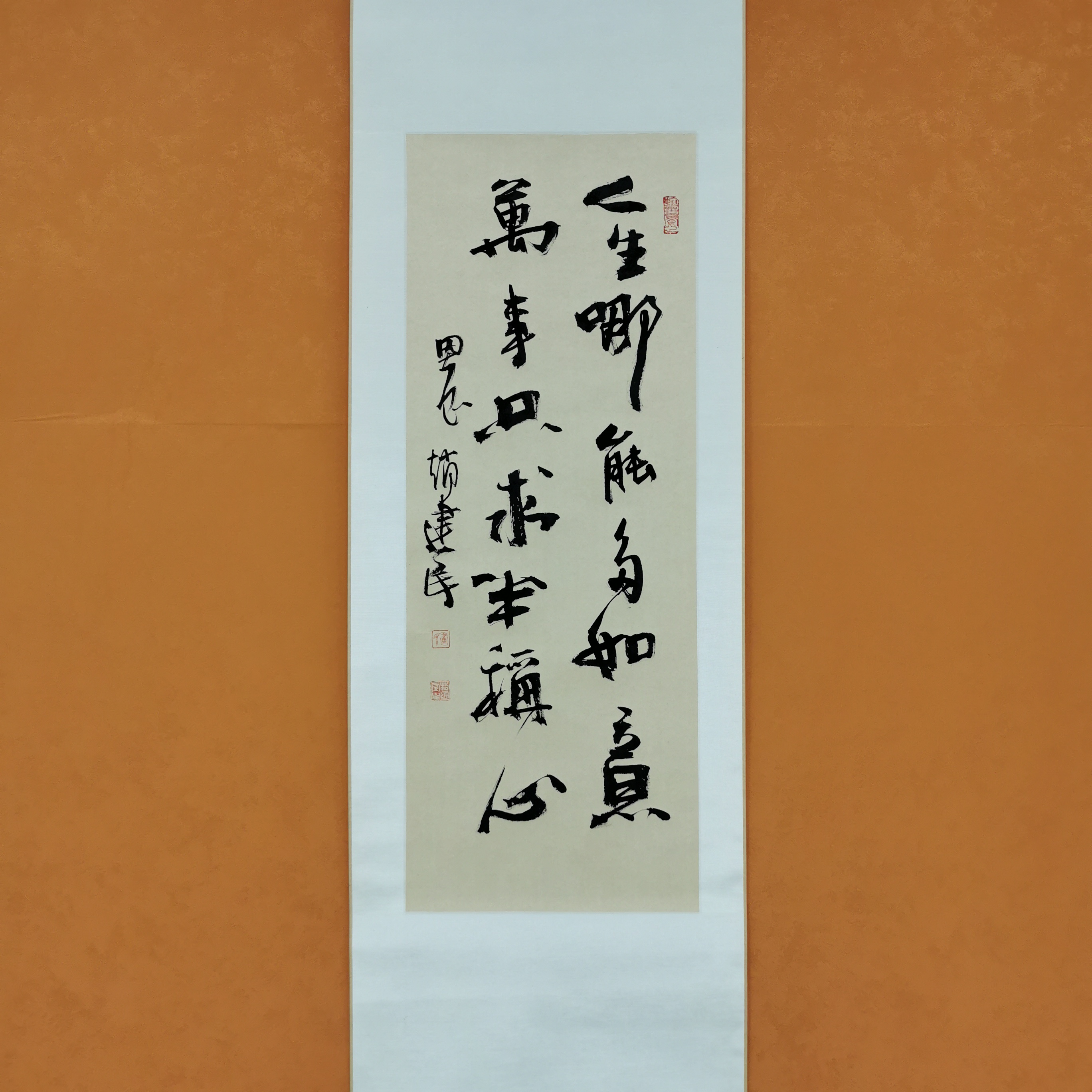 《人生哪能多如意》——赵建民精品书法155*59cm竖轴