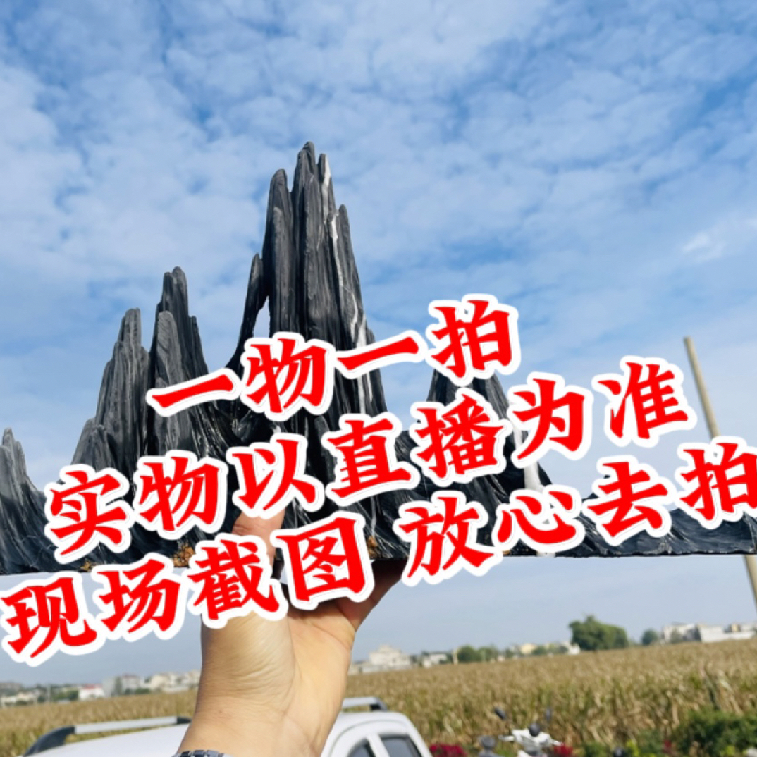 可用于鱼缸造景观赏 家居、办公室摆件