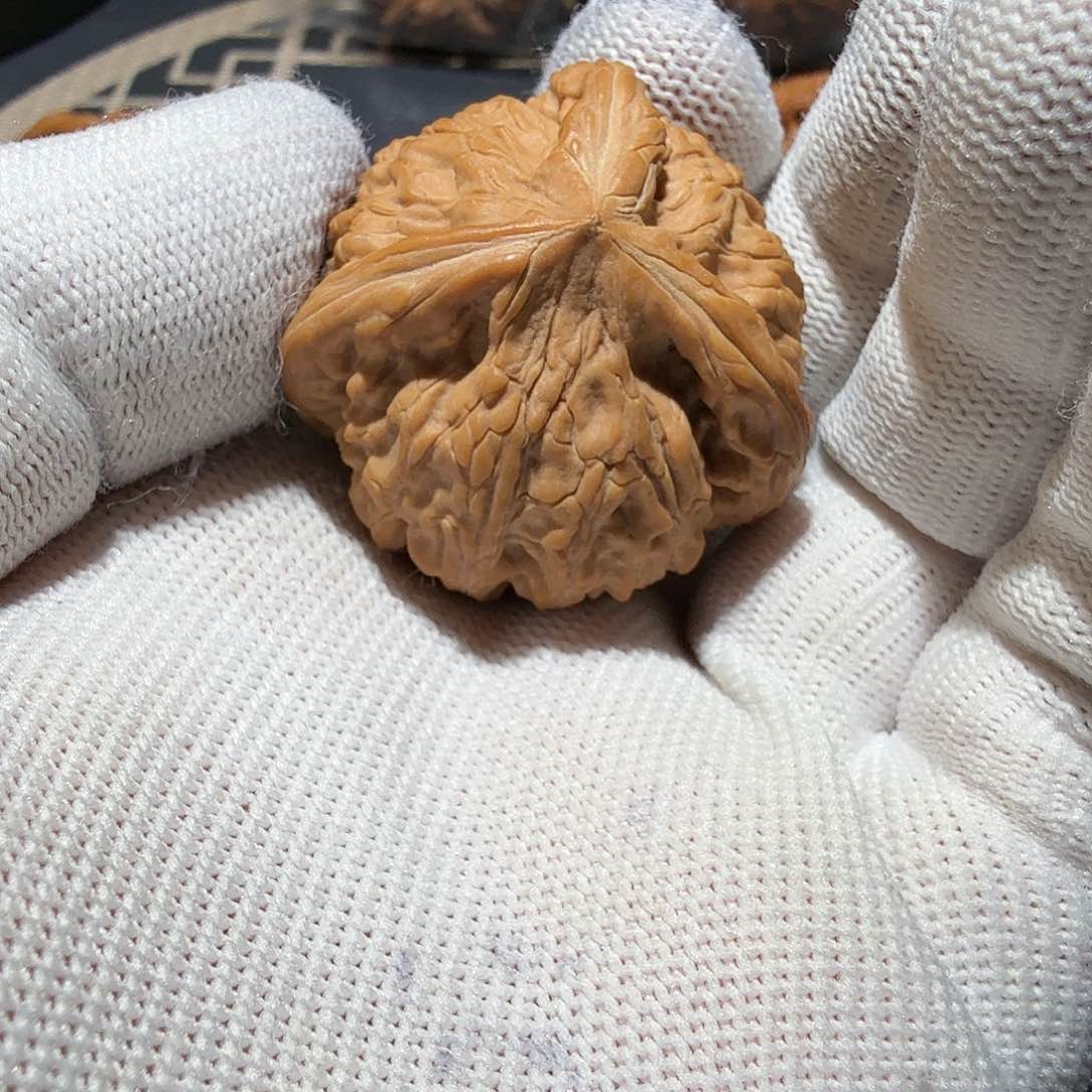 文玩核桃把件鱼*御龙