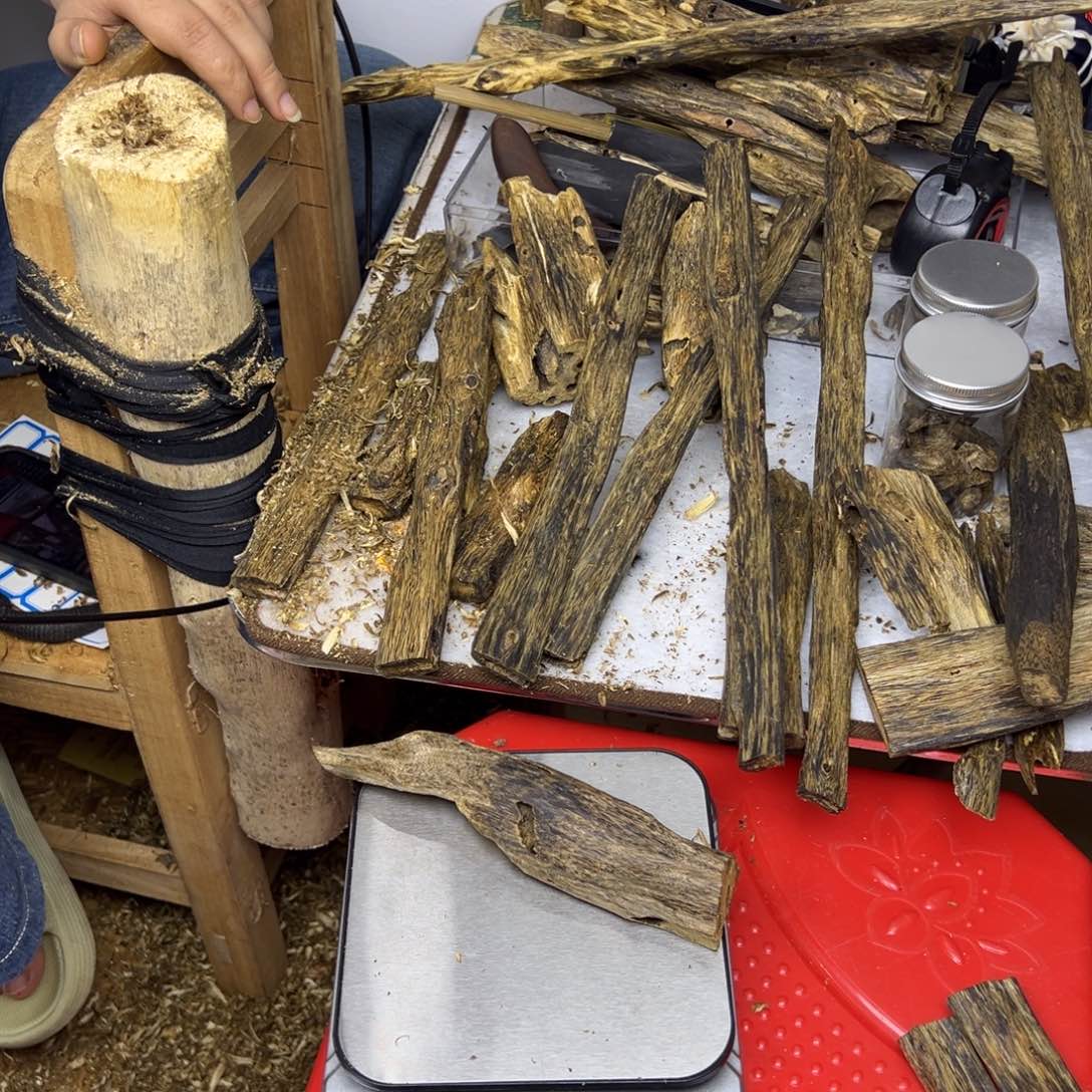 线香奇楠虫漏香46克