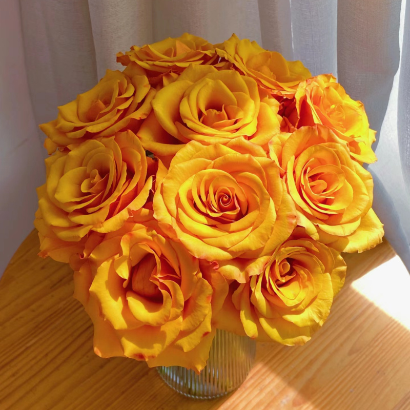 【辉煌】精选辉煌单头玫瑰家居摆放插花云南鲜花优质鲜切花