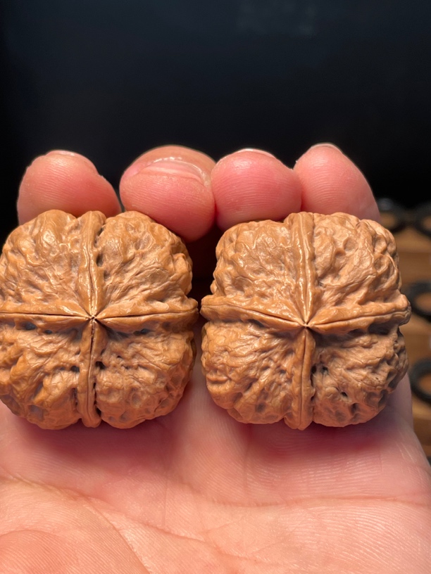 云南铁核桃血魔方四棱