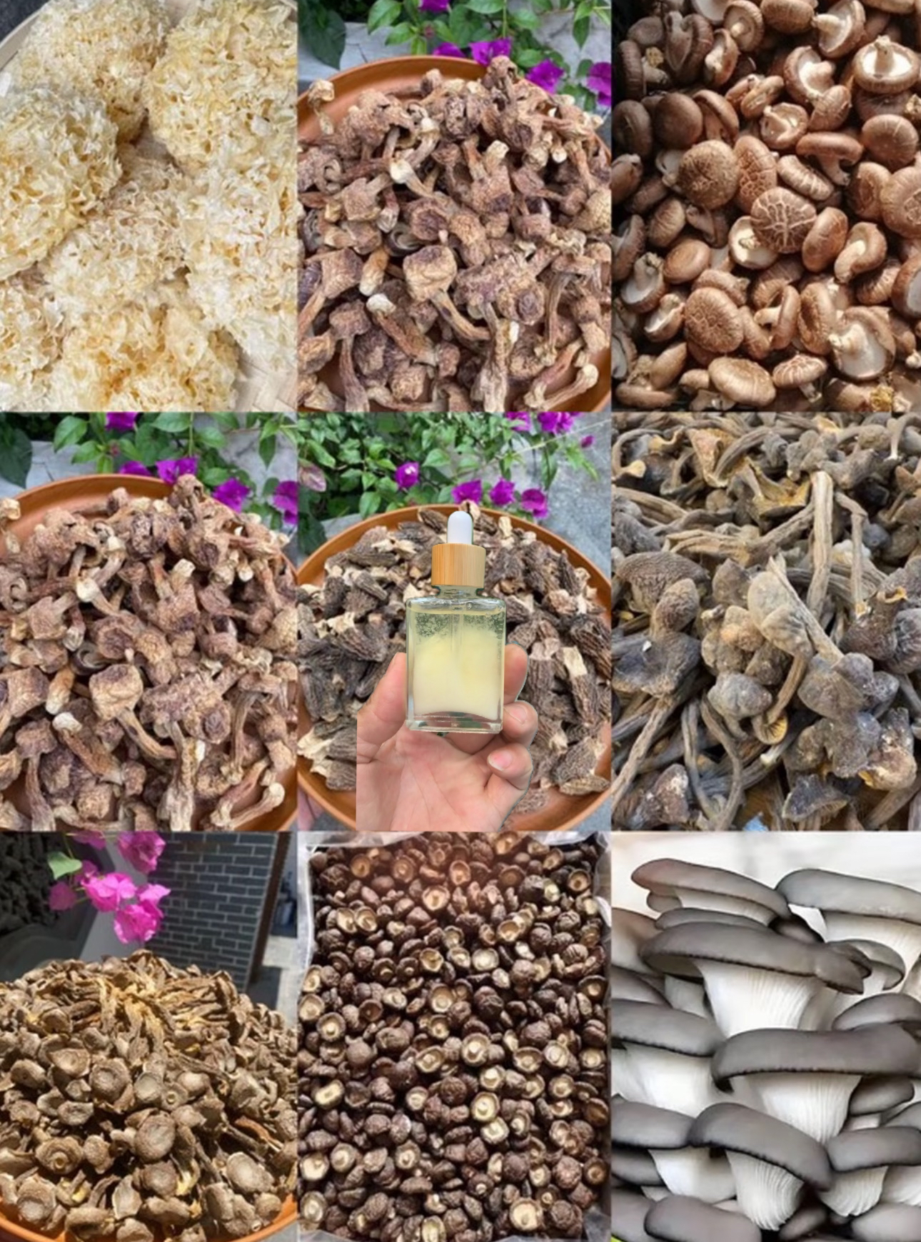 【中缅越边境山货】正·宗·5·毒·蛇·油——50g-100g初级农产品香菇