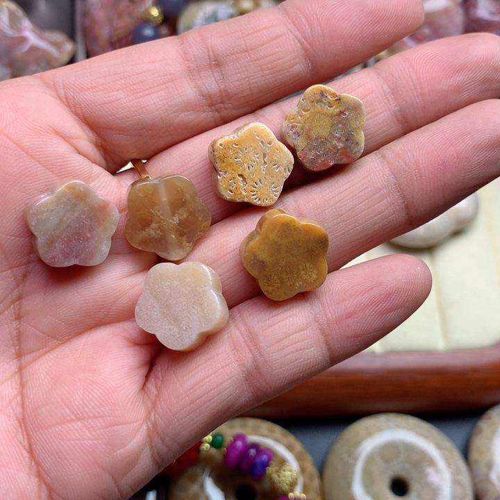 硅化珊瑚（珊瑚玉）颈饰未镶嵌