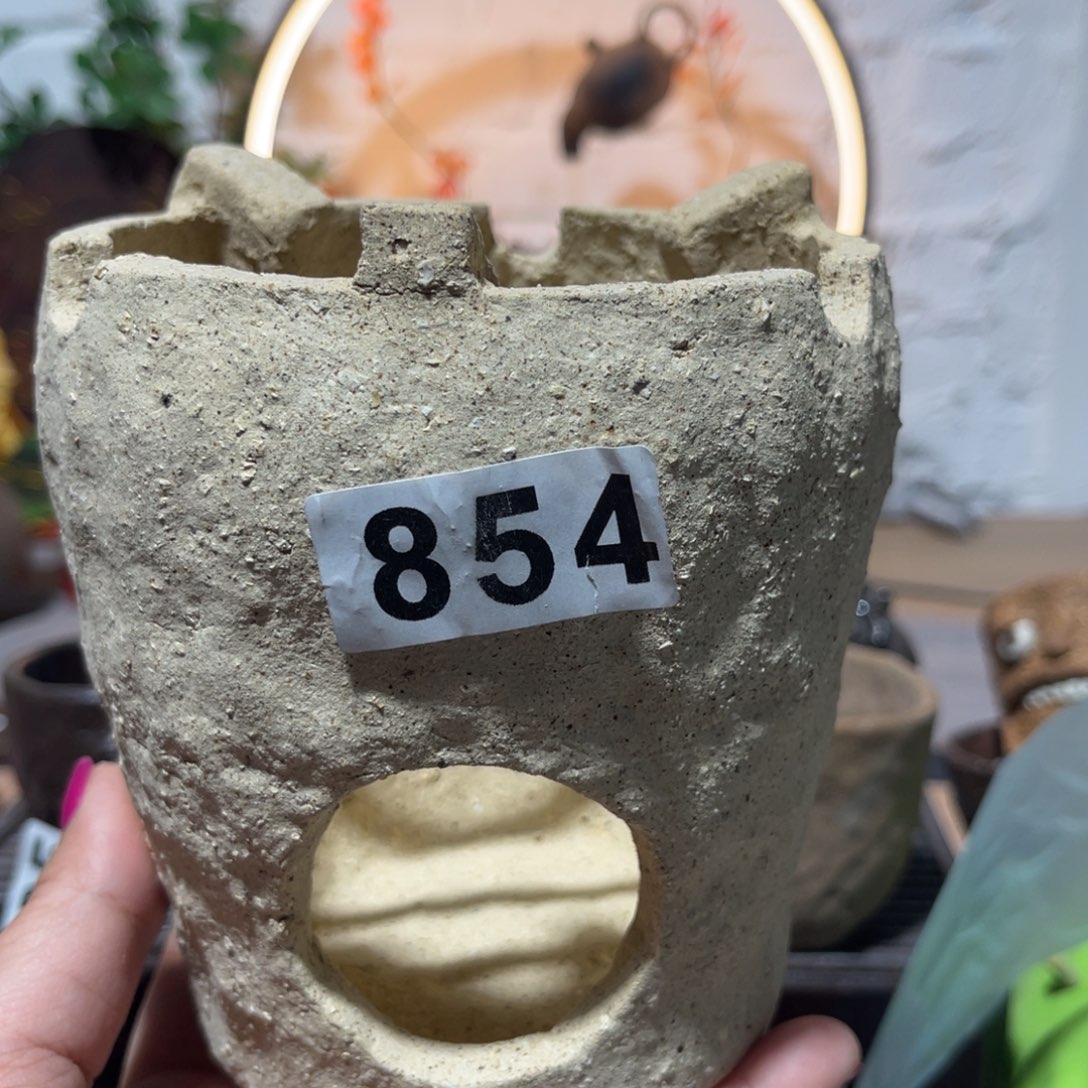 木村信弘柴烧保平