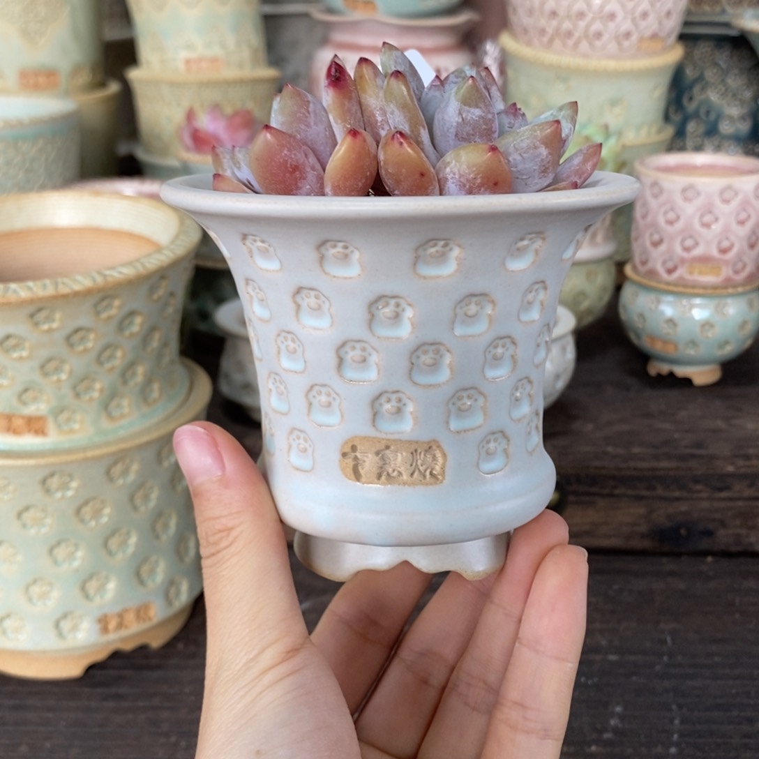 七里烧陶瓷4-20-237口径8