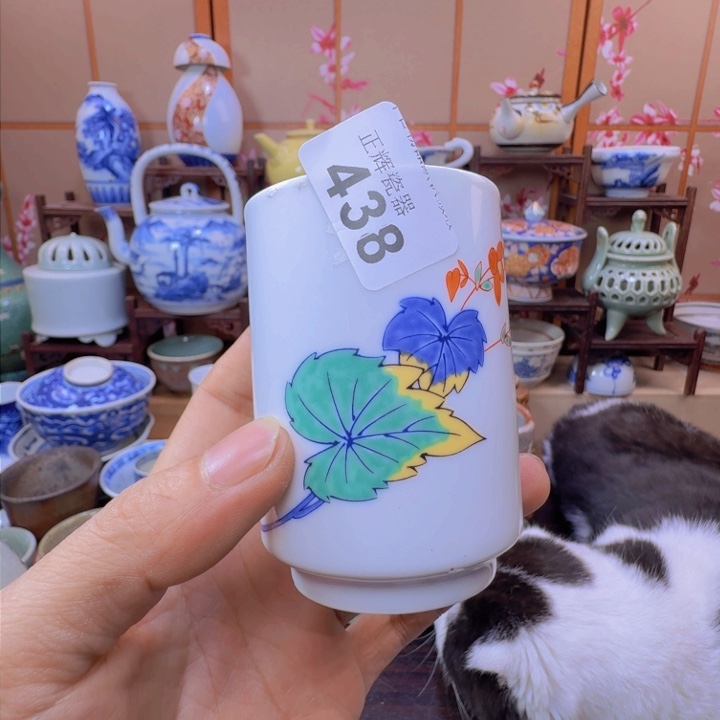 碗438啊啊啊啊啊啊啊啊啊啊啊啊