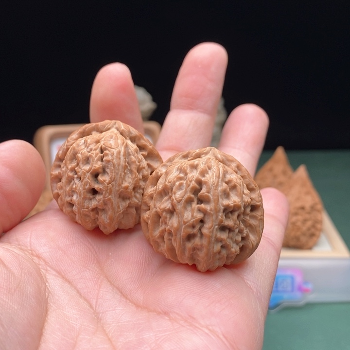 文玩核桃把件35尺全品三角白