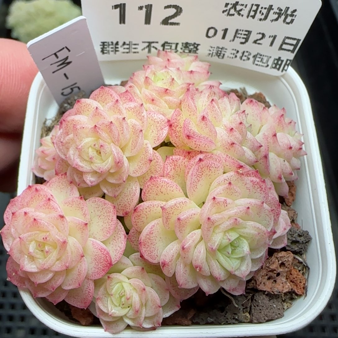 0121-112（FM-152）