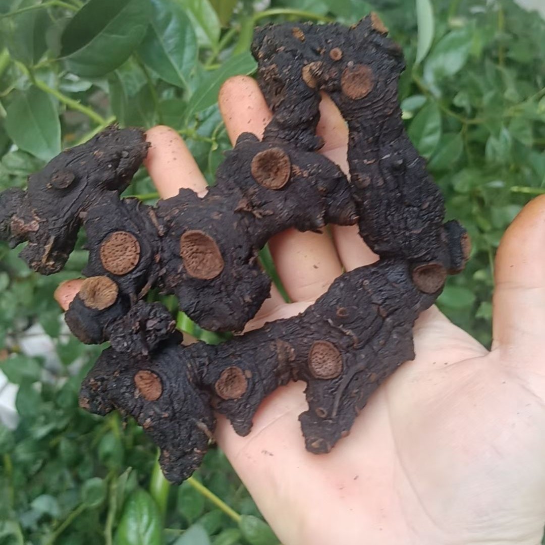 野生多花仙人余粮精选蒸晒精选，自己晒原味可搭配黄芪地黄