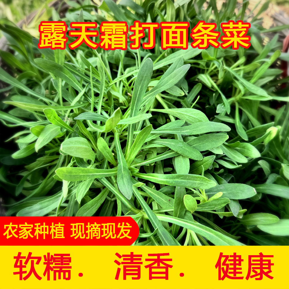 河南应季新鲜面条菜羊蹄子颗蒸菜必备1-5斤种植自种干净好吃