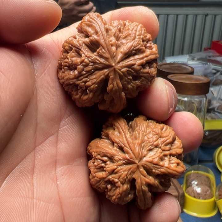 文玩核桃把件全品大粗筋狮子头
