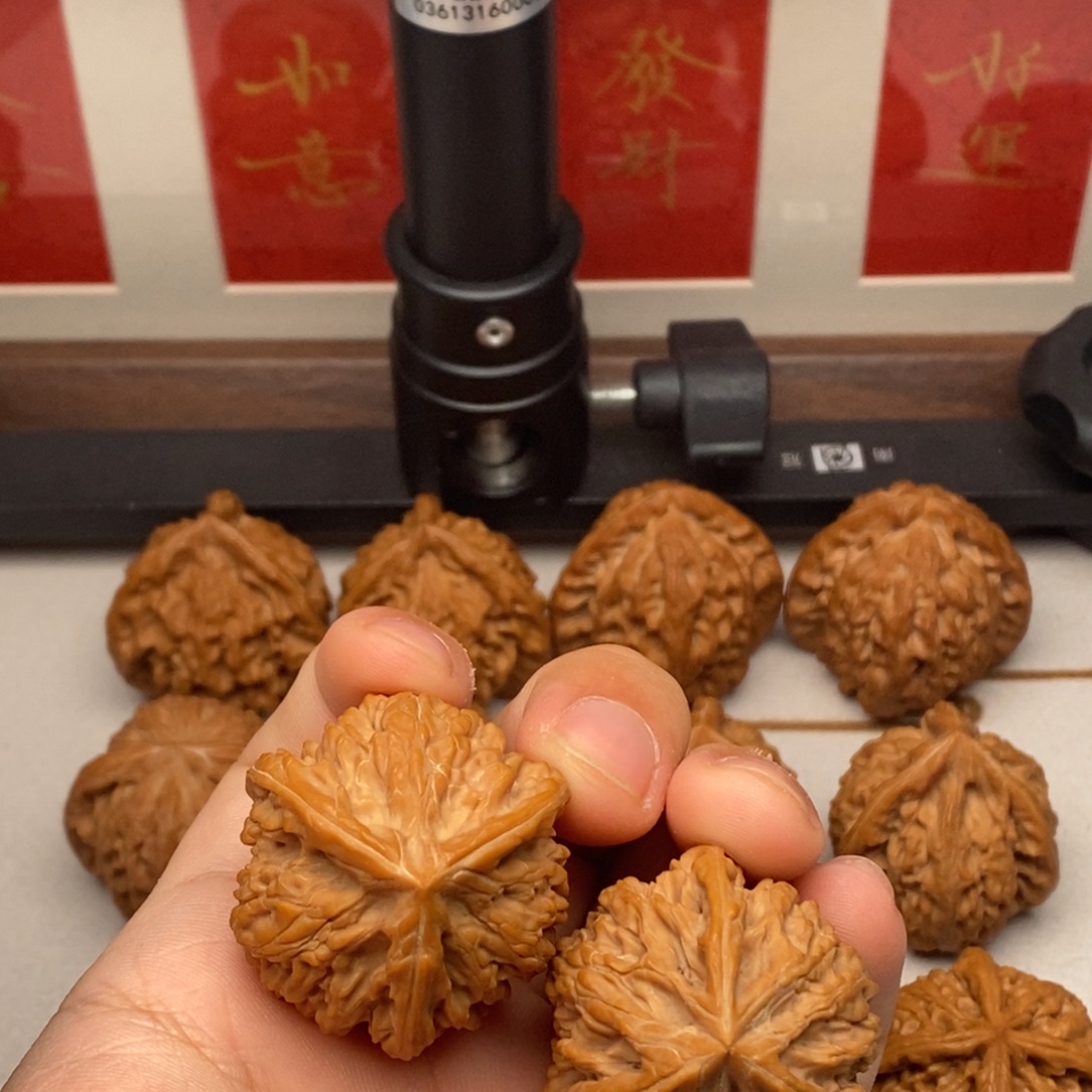 小***面核桃全品御龙奔驰