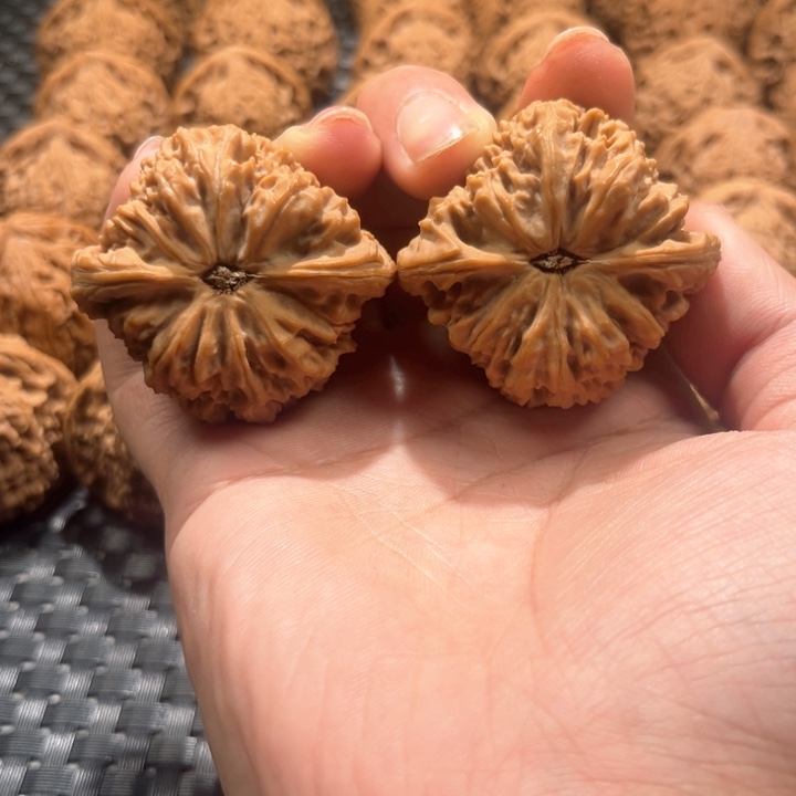 博**宝南疆石43+，44尺南疆