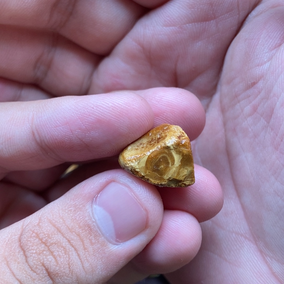 定制琥珀未镶嵌定制