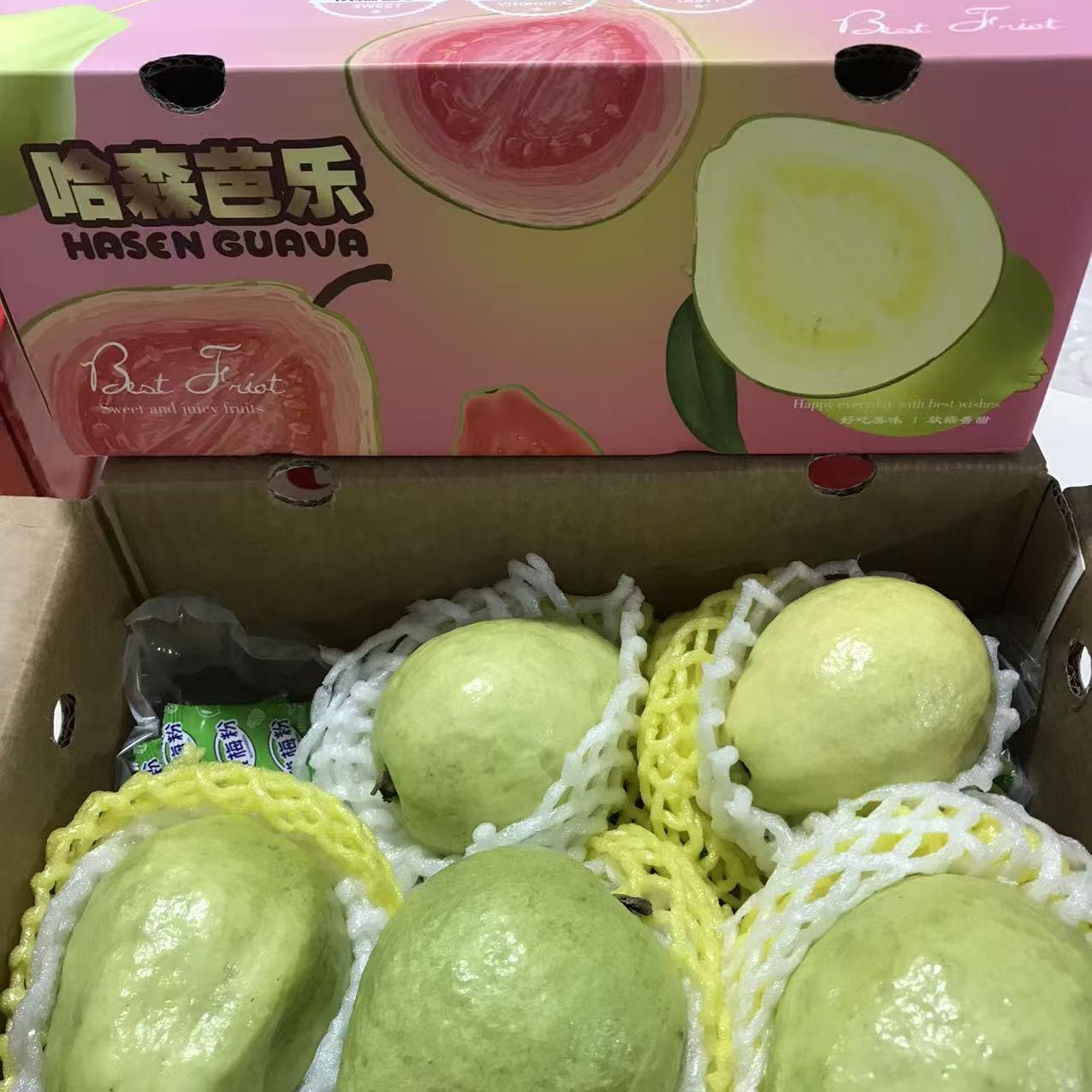 哈森芭乐（惠鲜水果）广西壮族自治区