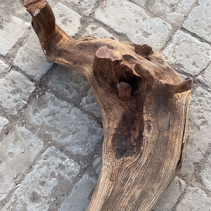 砖雕福利活动中福利