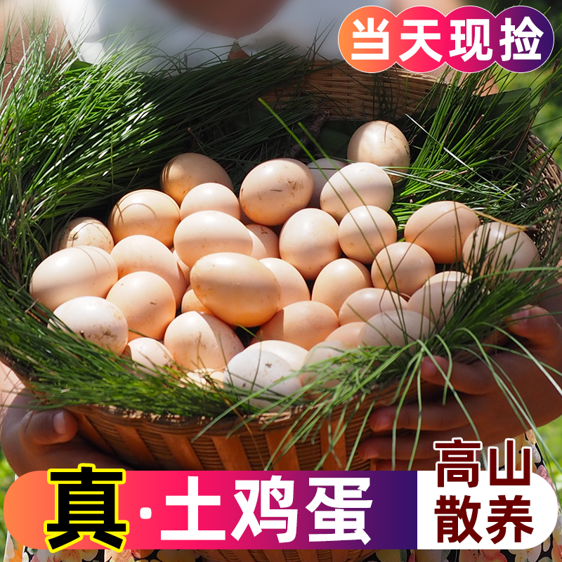 【50枚 顺丰包邮】农家散养新鲜土鸡蛋45g~50g老人宝宝放心食用