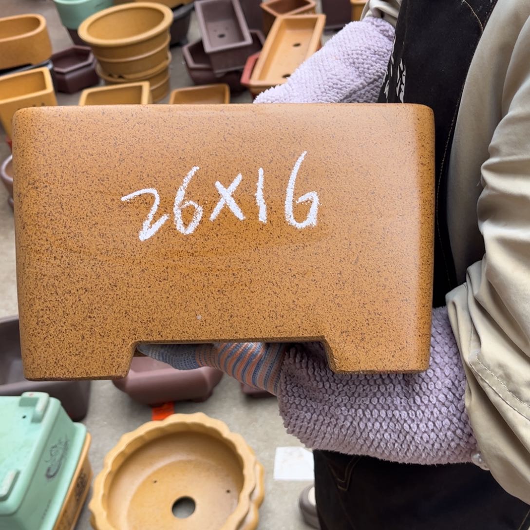 紫砂花盆盆景艺术