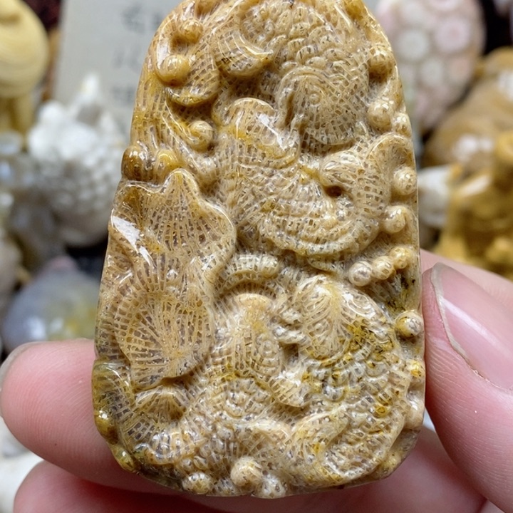 颈饰未镶嵌硅化珊瑚（珊瑚玉）