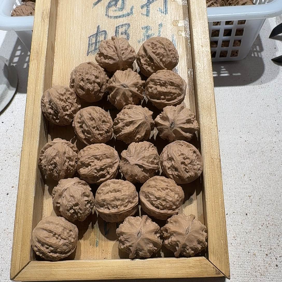 核桃手串/手链8号边23肚25高24