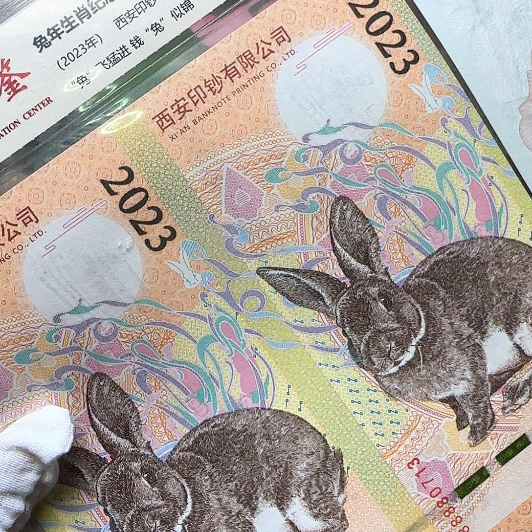 兔年生肖券双连体福利