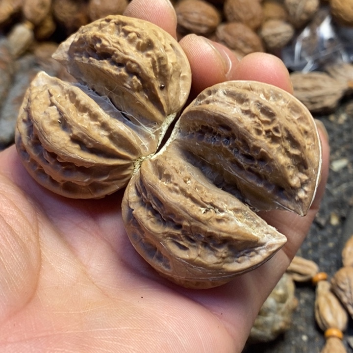 桃核吊坠东北特产160