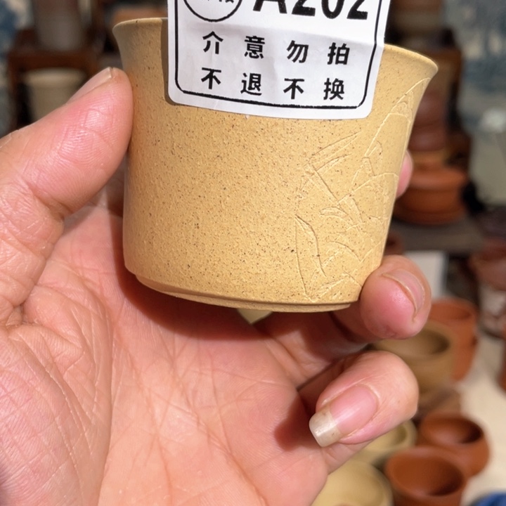 紫砂茶杯34589988543467