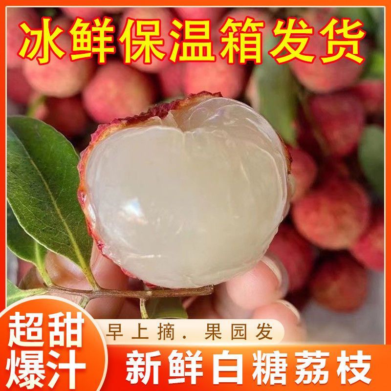 【果园现发】新鲜现摘当季荔枝多种黑叶白糖禾荔整箱发货冷链运输