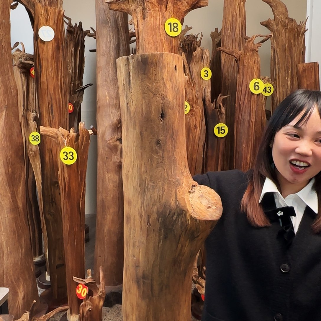 用***6沉香碎屑沉香天然沉香原材料香料熏料