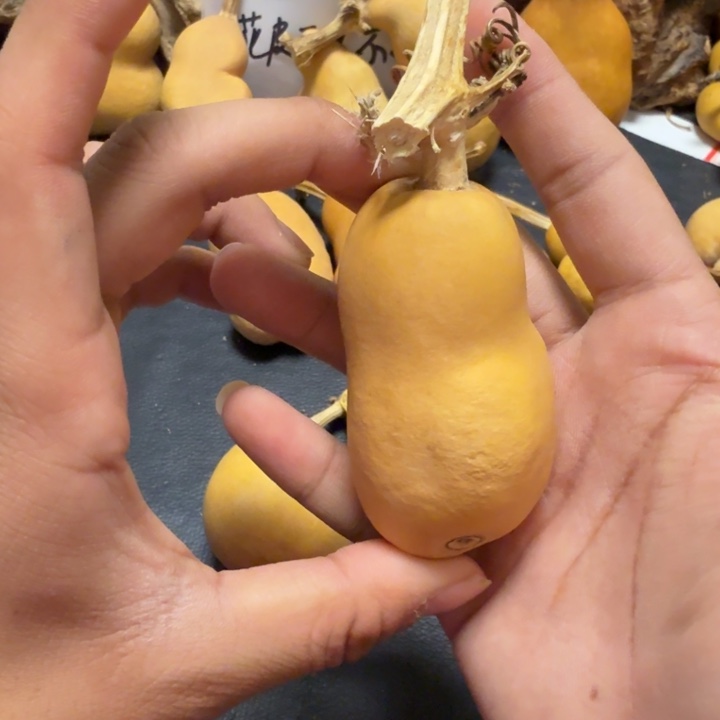 1***道888……………………………………