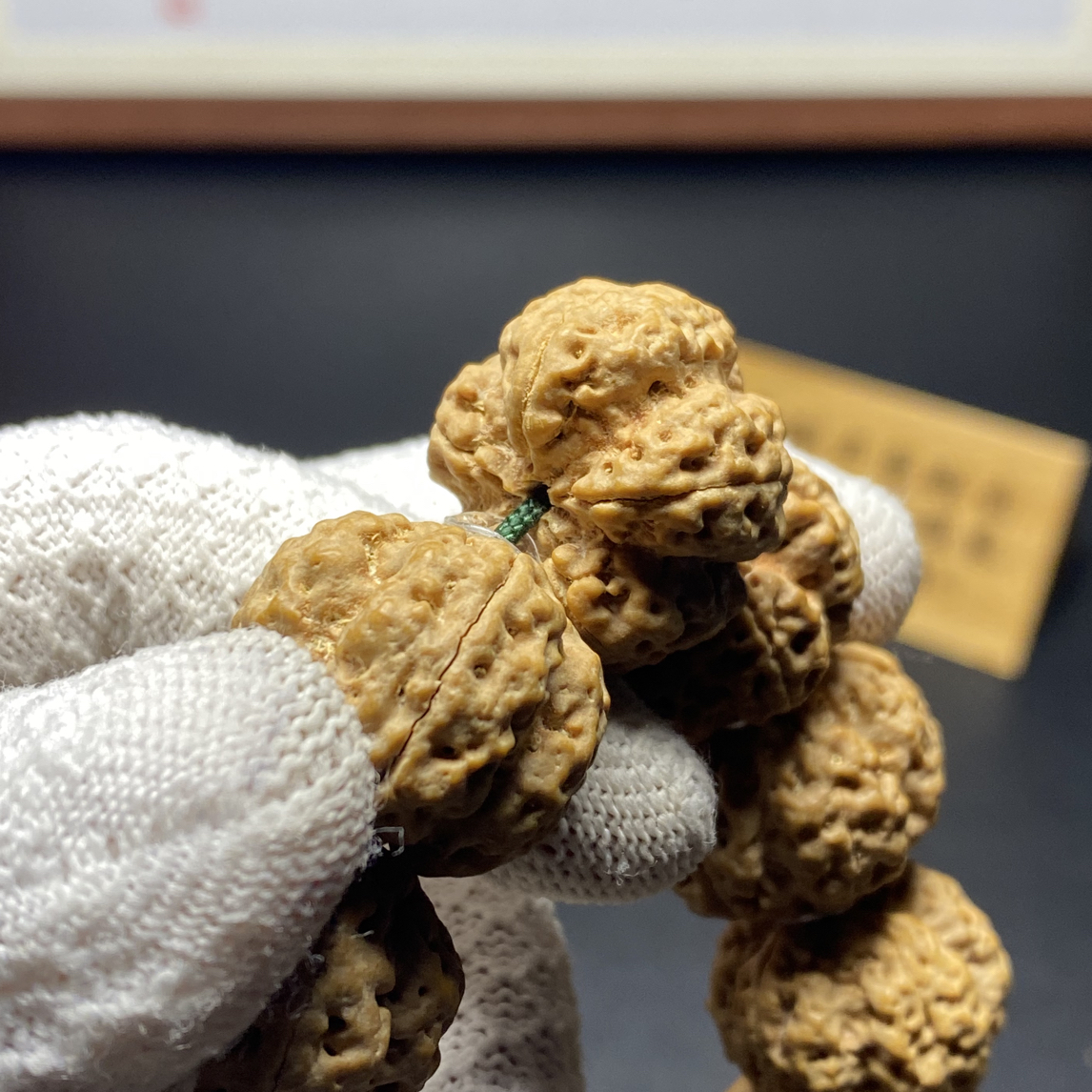 精品五星梅花上将：13号