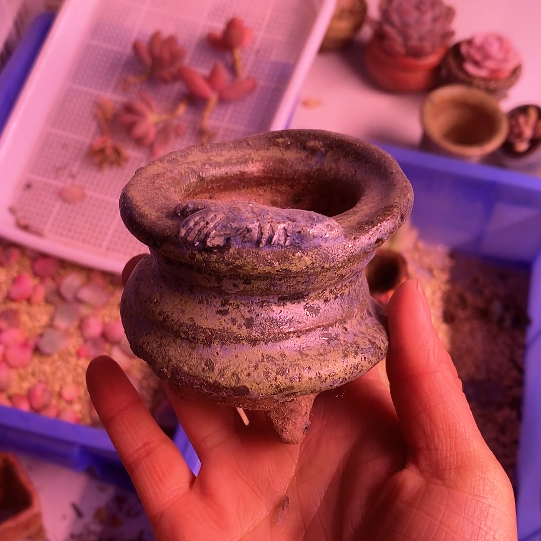 红陶处理的，用过的