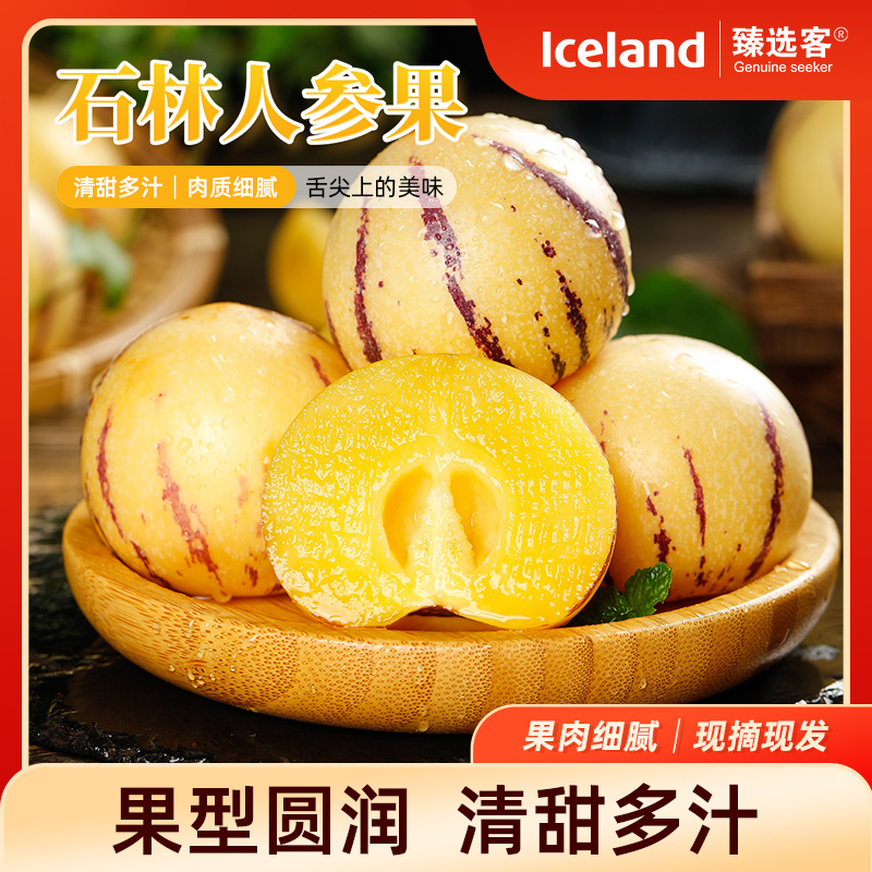 【Iceland臻选客】人参果圆果黄肉产地直发当季水果树上熟产地直发