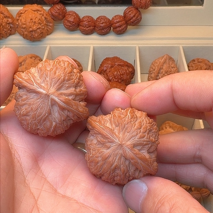 全品山地正磨尺寸42红皮