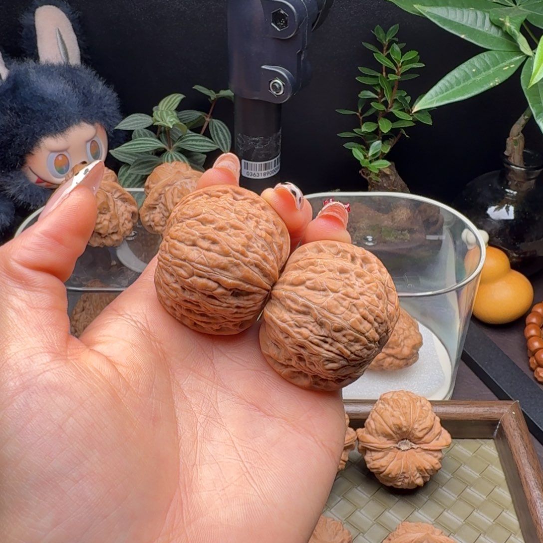 龙脊菩提把件全品铁锤41