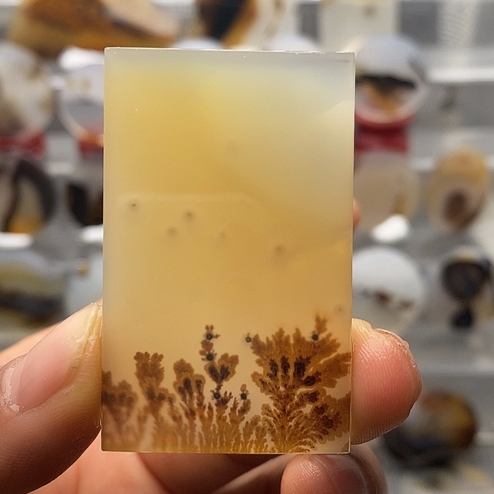 玛瑙/玉髓合金颈饰