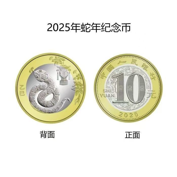 法定货币2025蛇年纪念币定义9成新