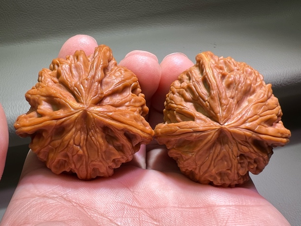 宫灯三棱手捻异形精品大边46高35红皮手把件件盘它文玩核桃纯天然