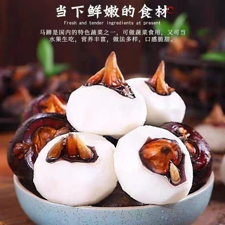 广西现挖现发农家马蹄荸荠现挖水果农家新鲜多汁清甜产地直发