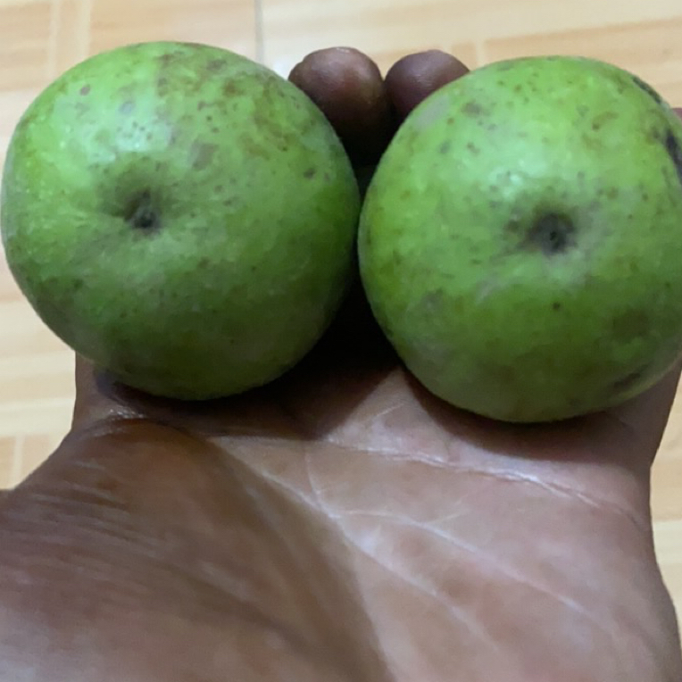 文玩核桃岐山三棱青皮