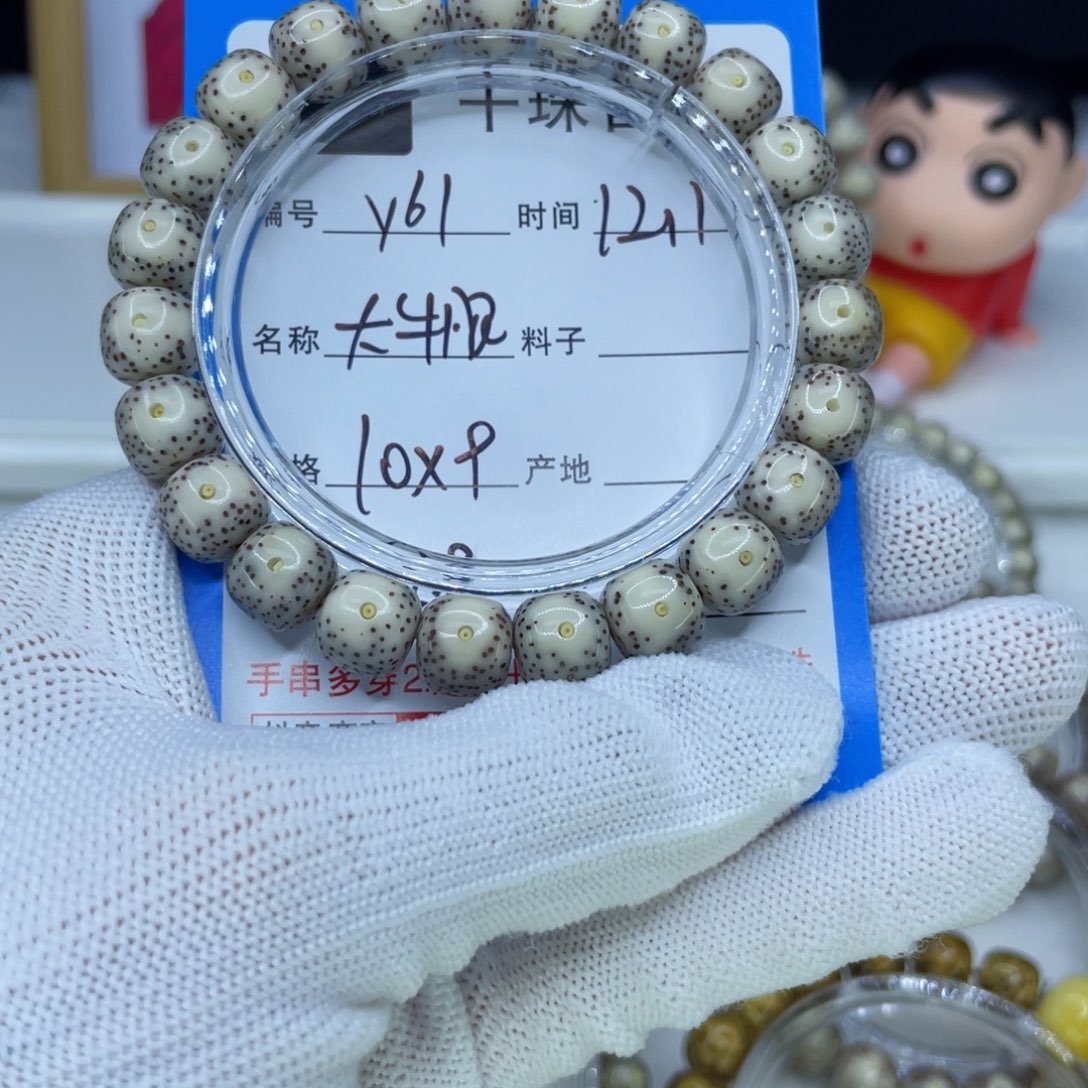 菩提籽类Y61大牛眼
