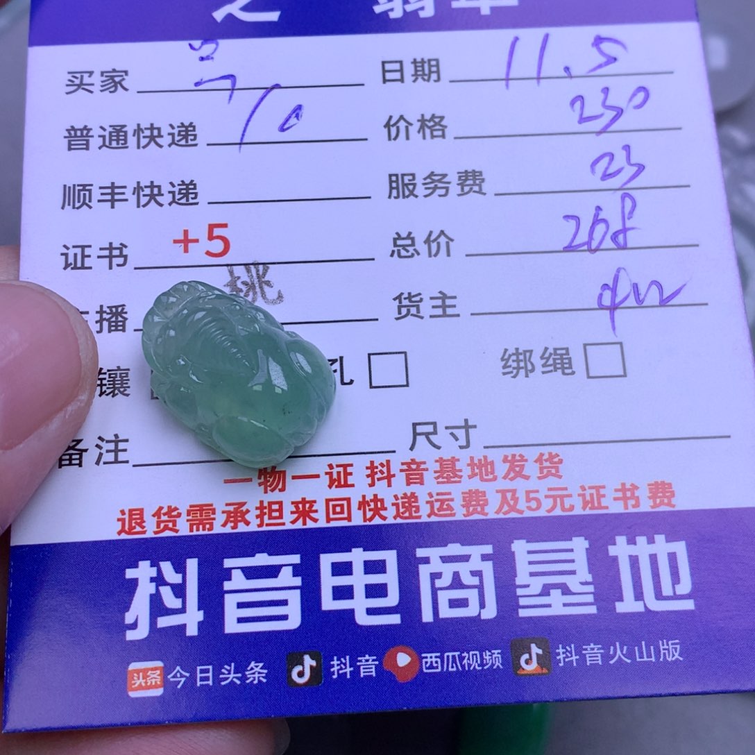 颈饰未镶嵌翡翠｛****?