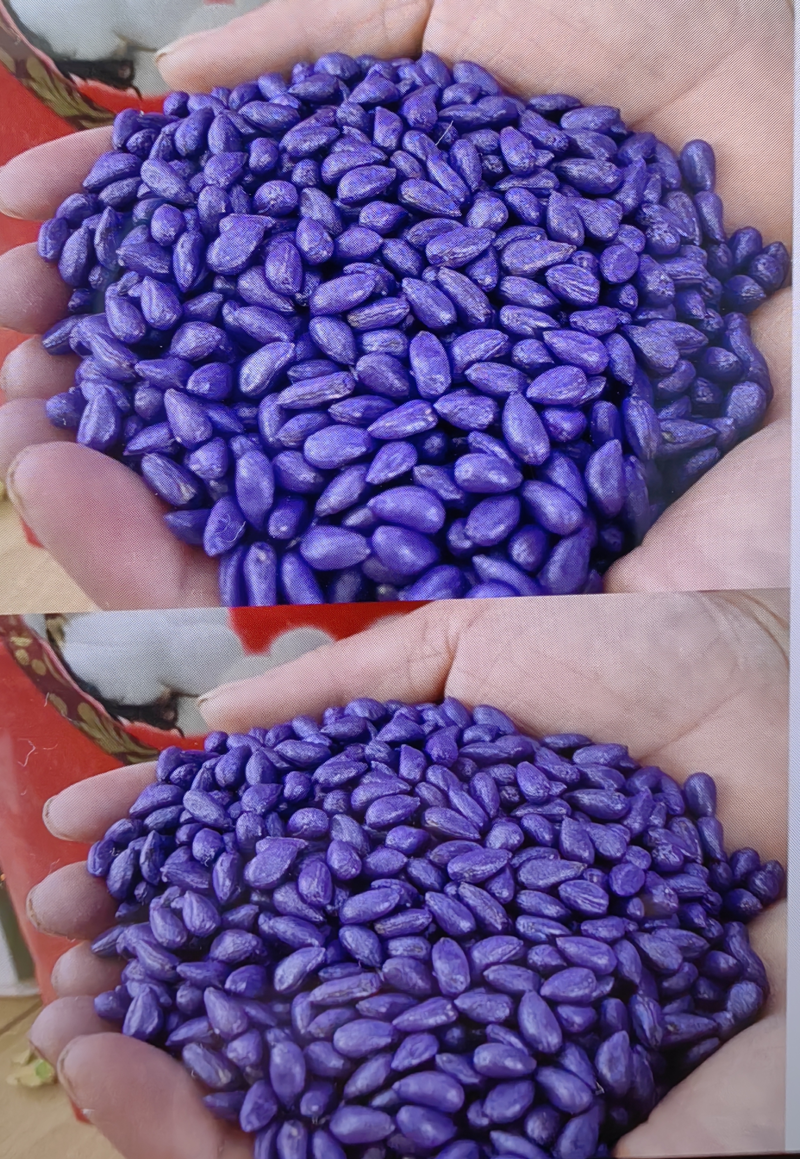   合信棉老大大桃省工