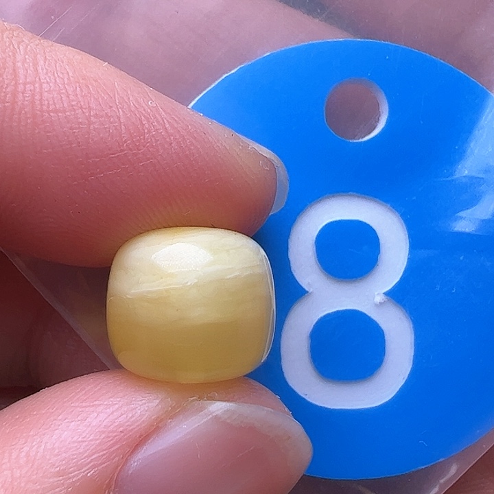 蜜蜡裸石未镶嵌花粉11m m